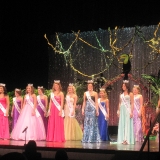 blossomtime2012-13